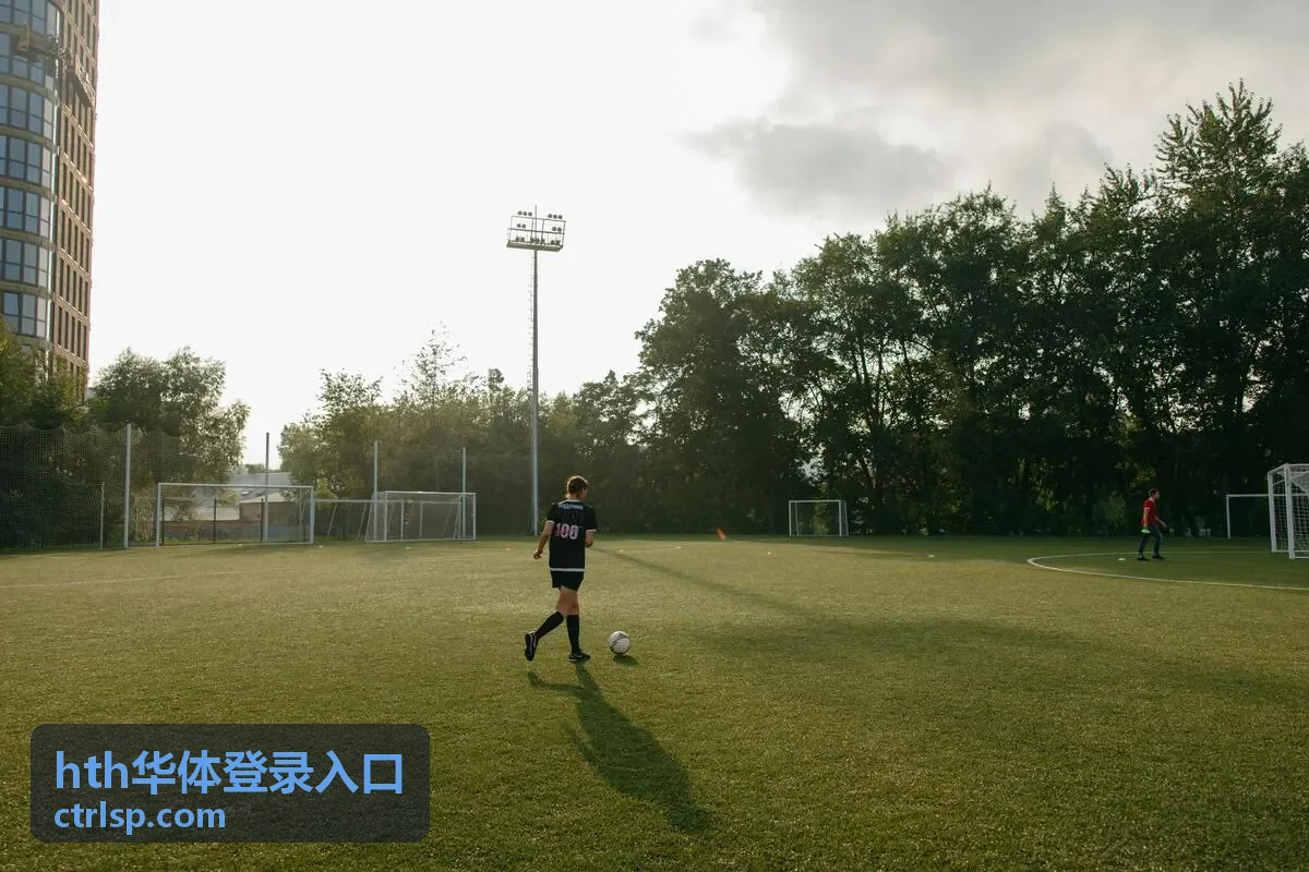 hth华体登录入口 入场流程片段