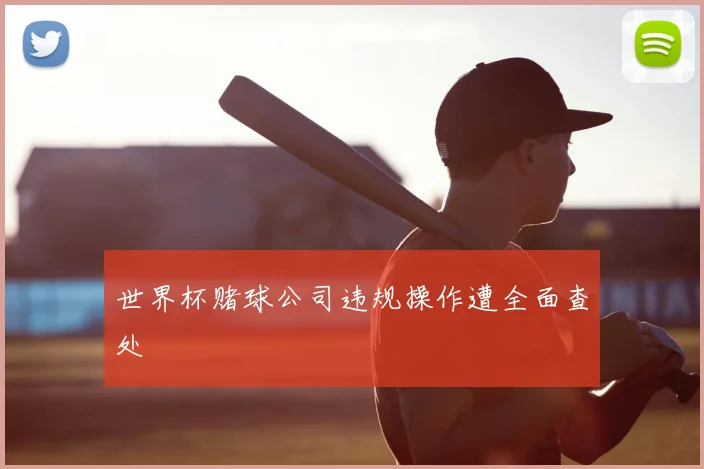 世界杯赌球公司违规操作遭全面查处