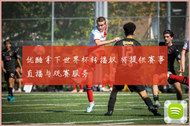 优酷拿下世界杯转播权 将提供赛事直播与观赛服务