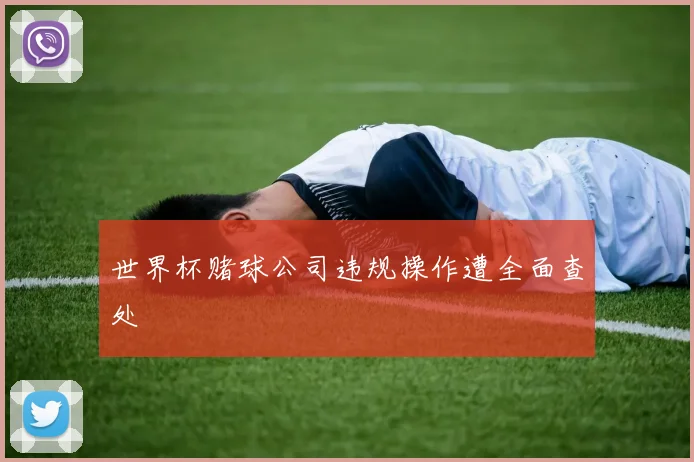 世界杯赌球公司违规操作遭全面查处